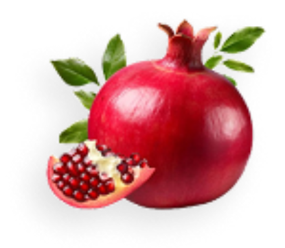 Picture of Mushrooms Item 14