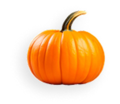 Picture of Squash & Zucchini Item 5