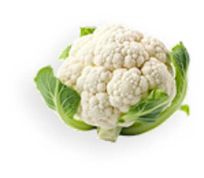 Picture of Root Vegetables Item 12