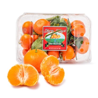 Shiraz Ranch Tango Mandarins 4 lb