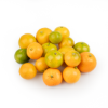 Calamansi Calamondin 8 oz