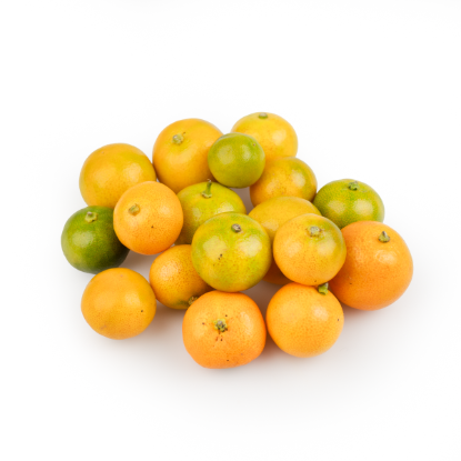 Calamansi Calamondin 8 oz