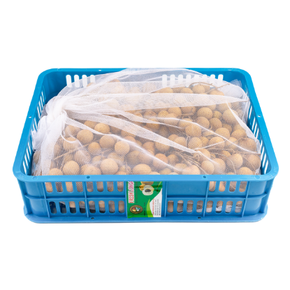 Vietnam Longan Whole box 10-11 lb