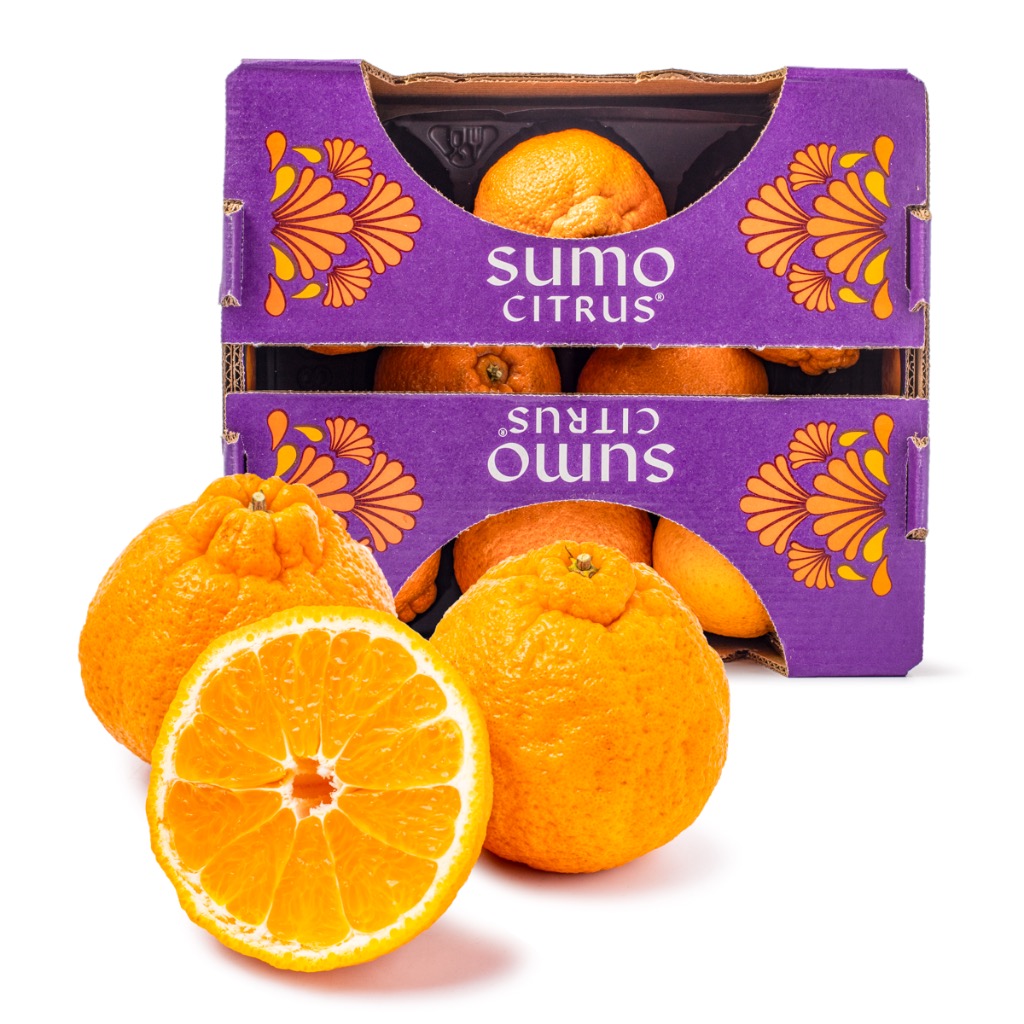 Jumbo Sumo Mandarin Gift Box 4.5-5 lb