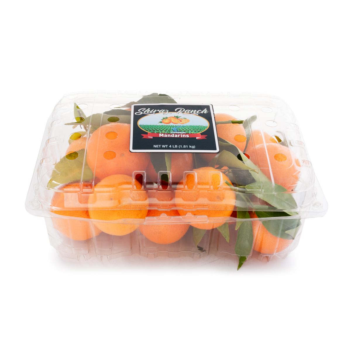 Shiraz Ranch Page Mandarins 4 lb