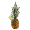 Golden Pineapple 1 count