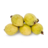Guayaba/Guava 14-16 oz