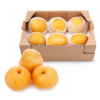 Korean Premium Singo Pears Gift Box 7 lb