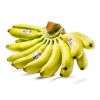 Lady Finger Banana 2.8-3.2 lb