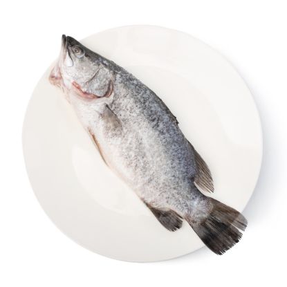 TSF Barramundi Whole Cleaned 500-550 g