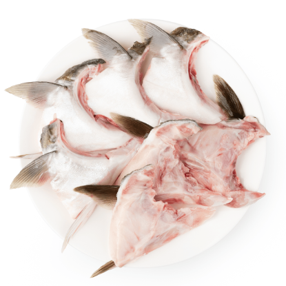 Hamachi Kama Yellowtail Collar, Frozen 6-7pc Jumbo Pack 2-2.2 lb