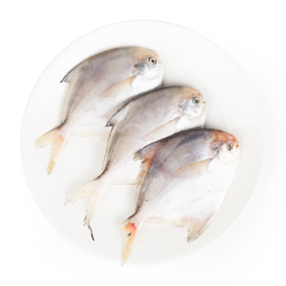 Talassa Wild Caught Whole Round Silver Pomfret 4-5pcs, Frozen 500 g