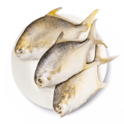 Talassa Golden Pompano, Frozen 3 lb