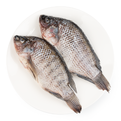 Whole Tilapia Gilled, Gutted, Scaled, Frozen 2 lb