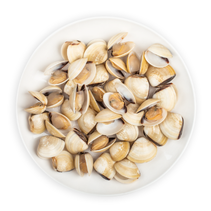 Frozen Asia White Clam, Frozen 2 lb