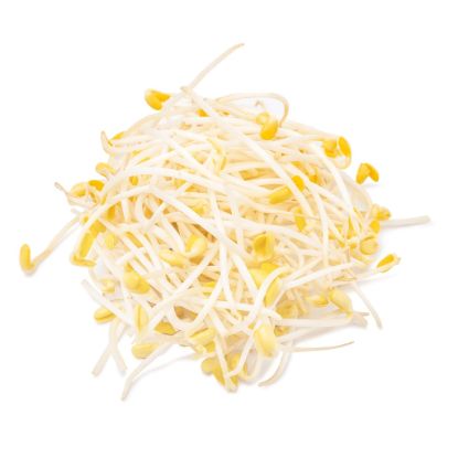 Soy Bean Sprouts 12 oz