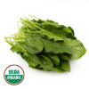 Organic Spinach 1 bunch