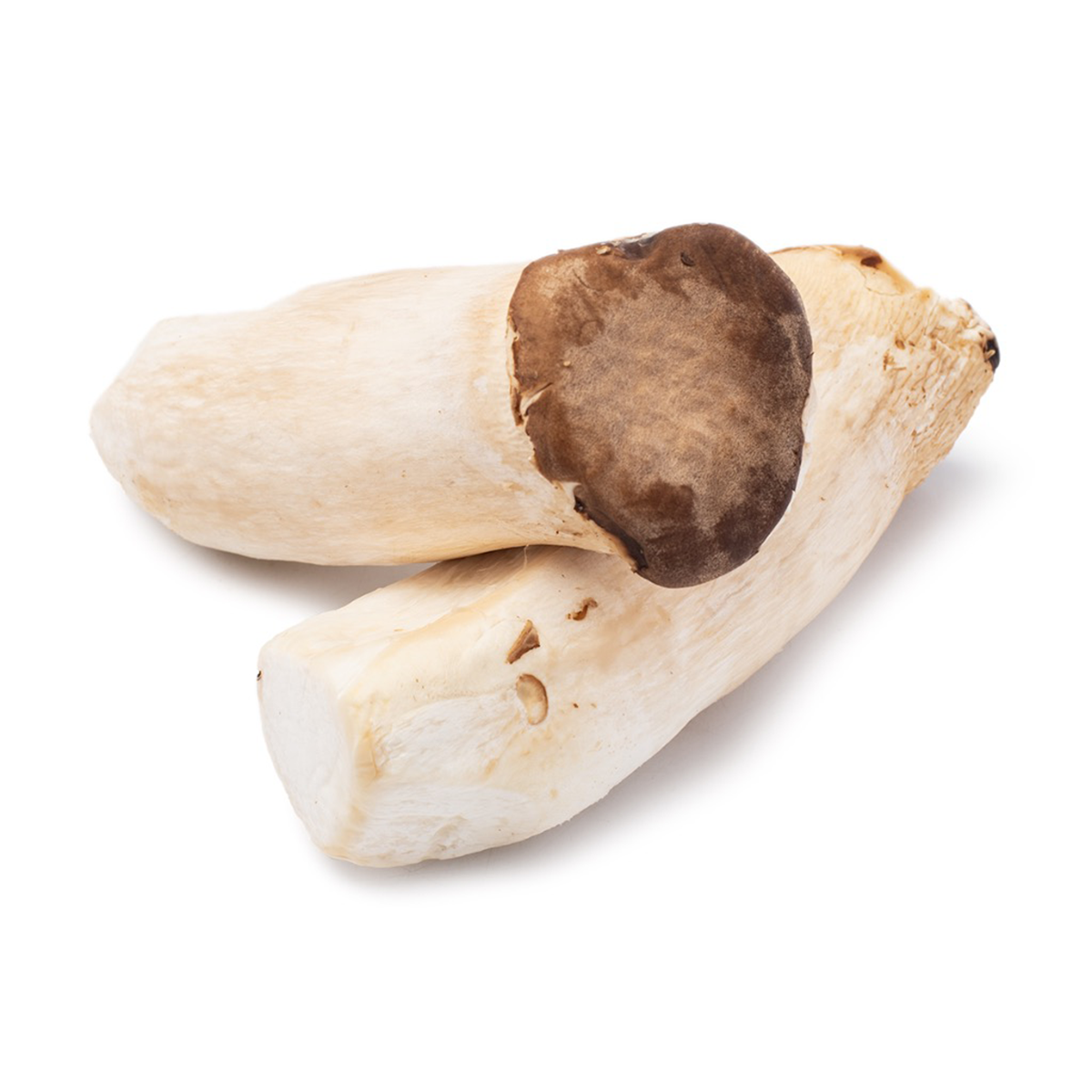 King Oyster Mushrooms 1 lb