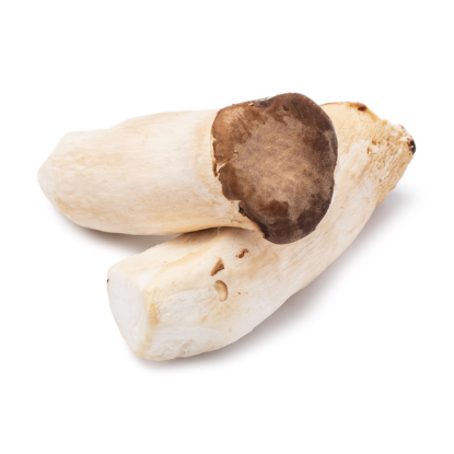 King Oyster Mushrooms 1 lb