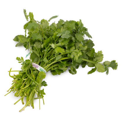 Cilantro 1 bunch