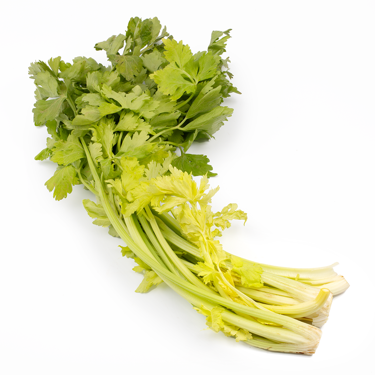 Chinese White Celery 1 lb