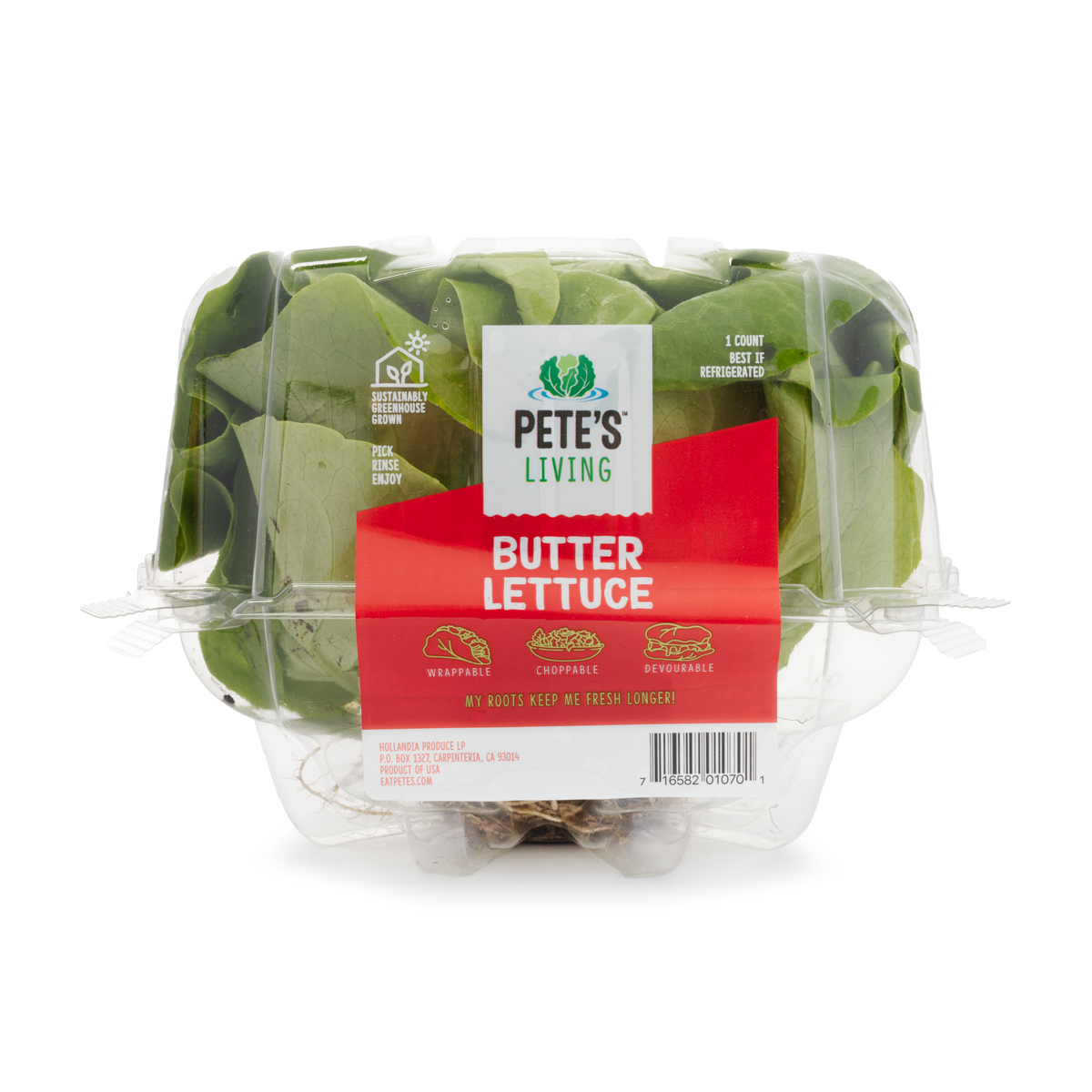 Living Butter Lettuce 1 count