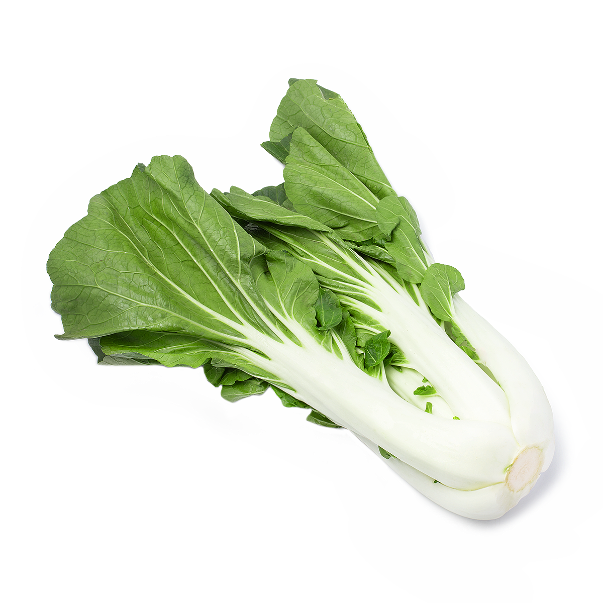 Guang Dong cabbage 1.5 lb