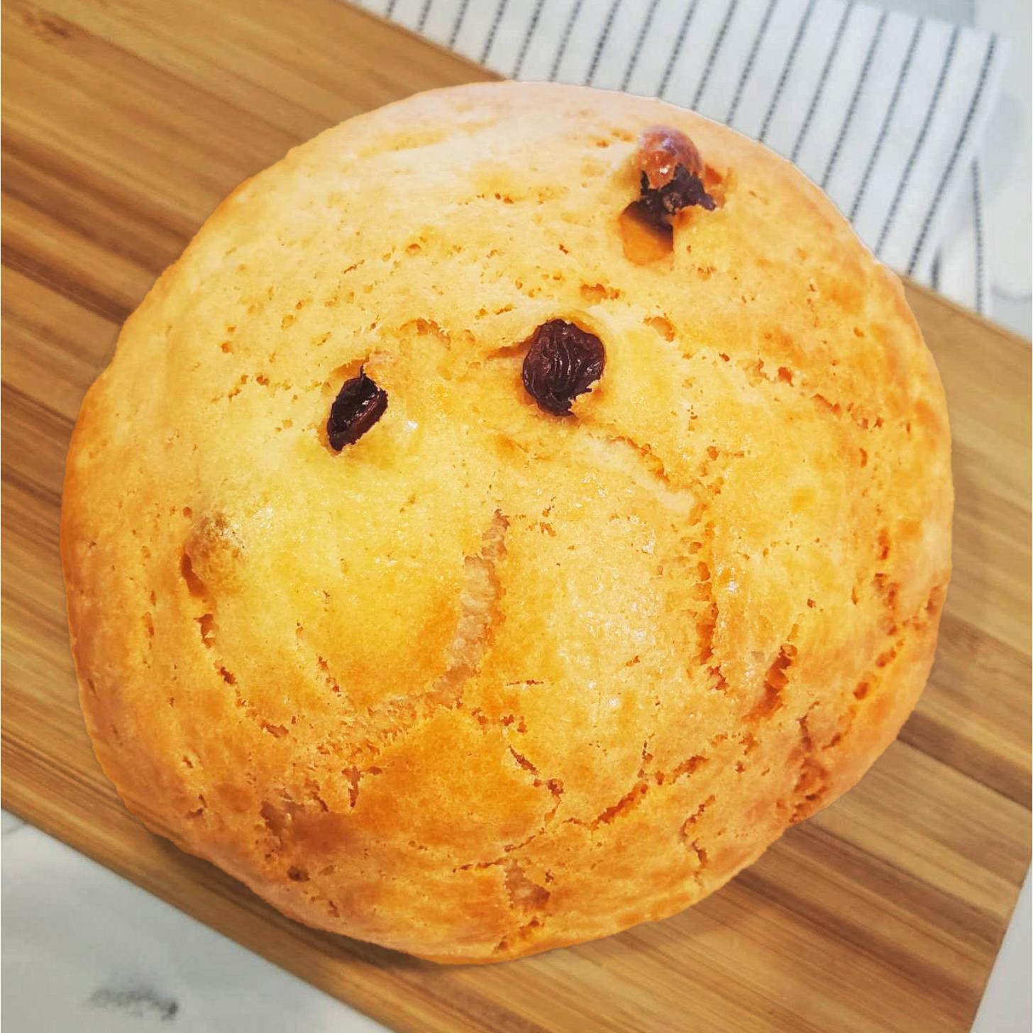 Raisin Dry Custard 4.2oz 1 each