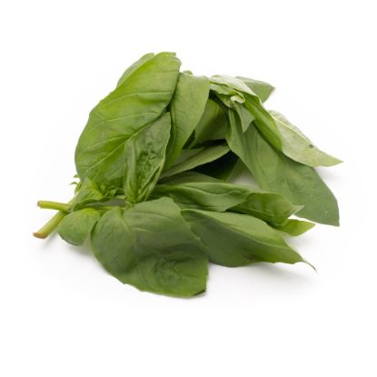 Basil 0.75 oz