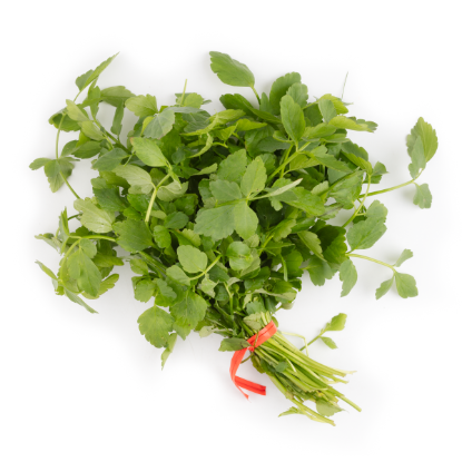 Water Celery 1 bunch