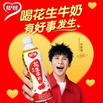 YINLU Peanut Milk 450 ml