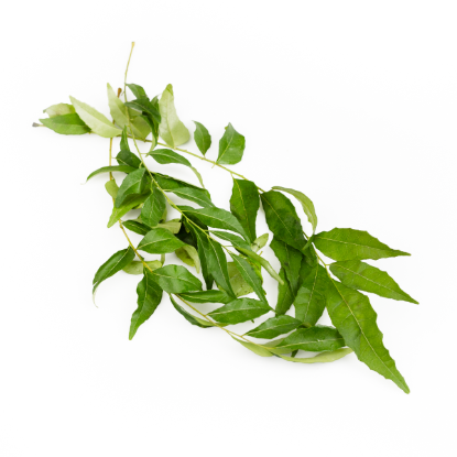 Curry Leaves 0.25 oz