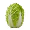 Napa Cabbage 1 count