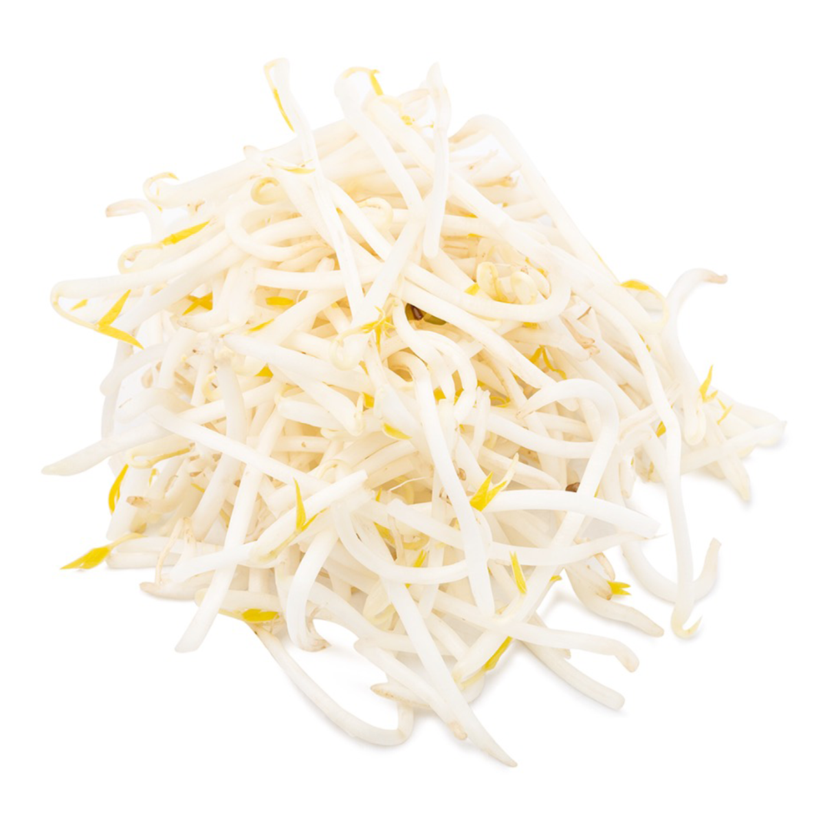 Mung Bean Sprouts 12 oz