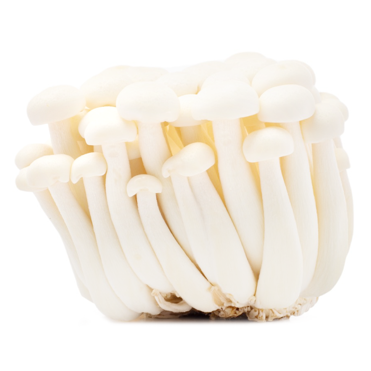 White Beech Mushrooms 1 each