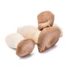 Organic King Oyster Mushrooms 1 each