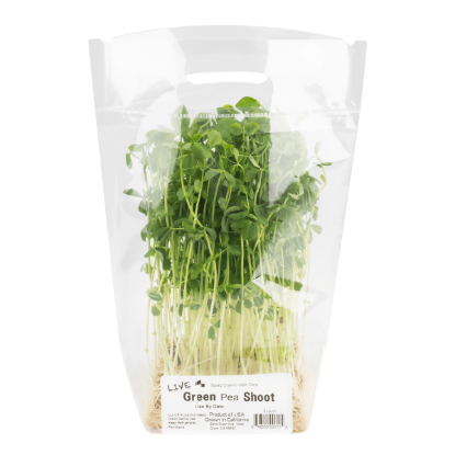 Green Pea Shoot 1 each