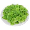 Homemade Premium Dried Asparagus Lettuce 100g 100 g