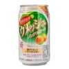 Choya Plum Soda 350 ml