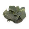 Bay Leaves 0.75 oz