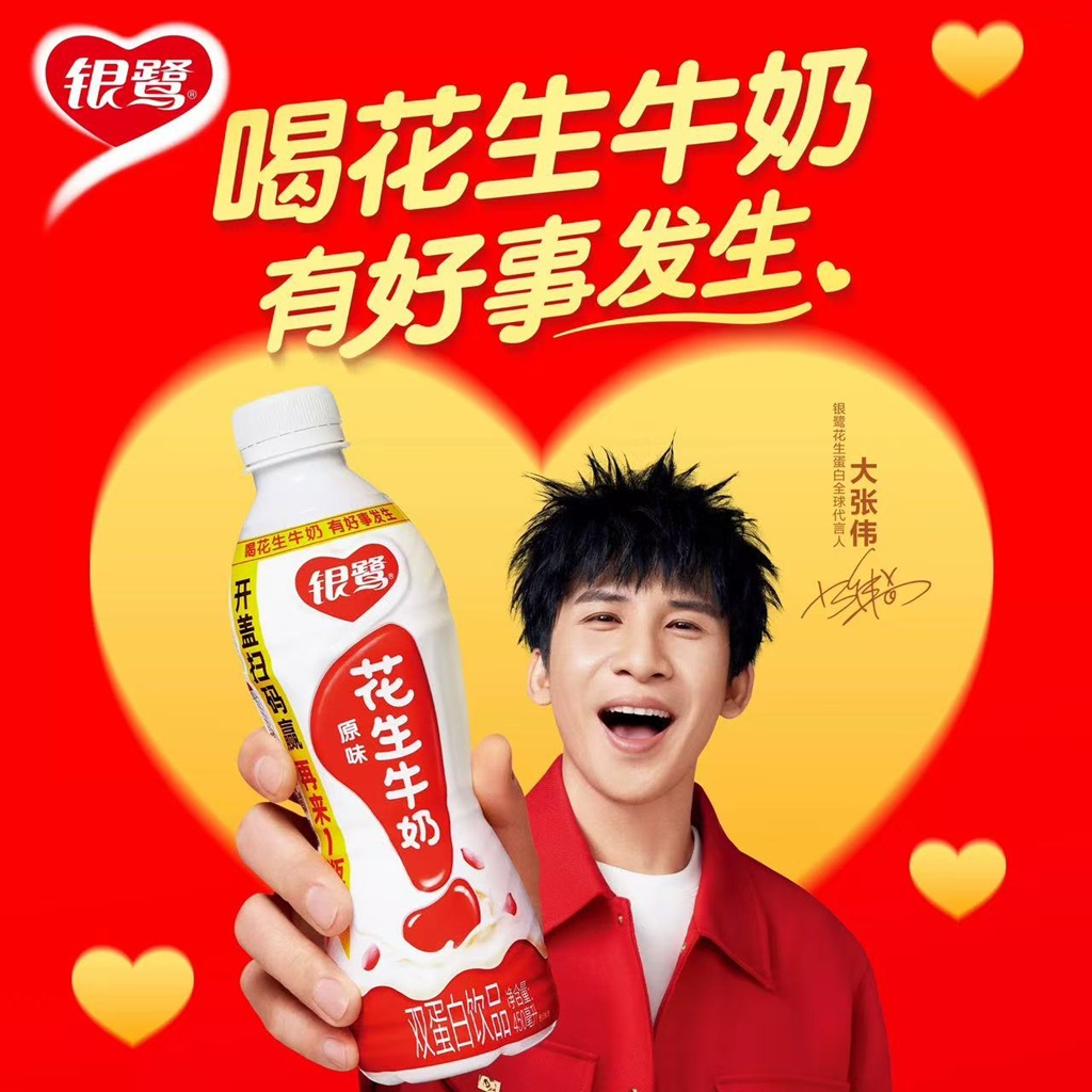 YINLU Peanut Milk 450 ml