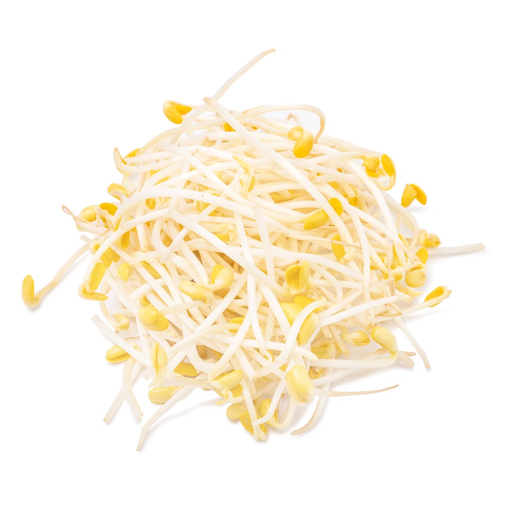 Soy Bean Sprouts 12 oz