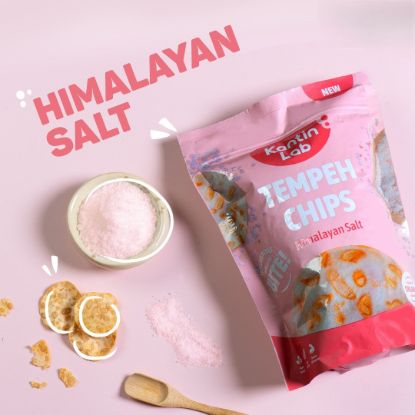 HIMALAYAN SALT TEMPEH CHIP - 80 grams 1 each