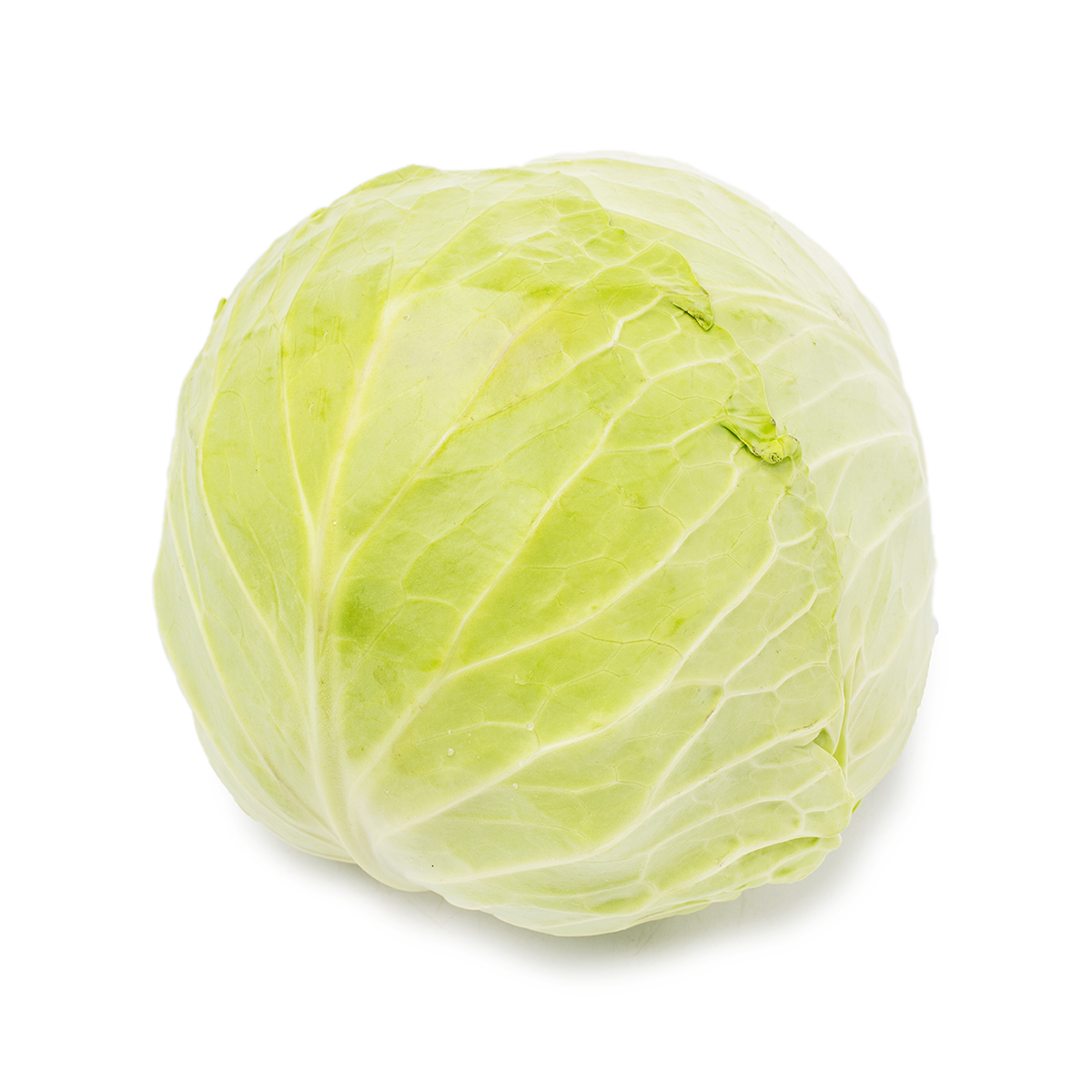 Green Cabbage 1 count