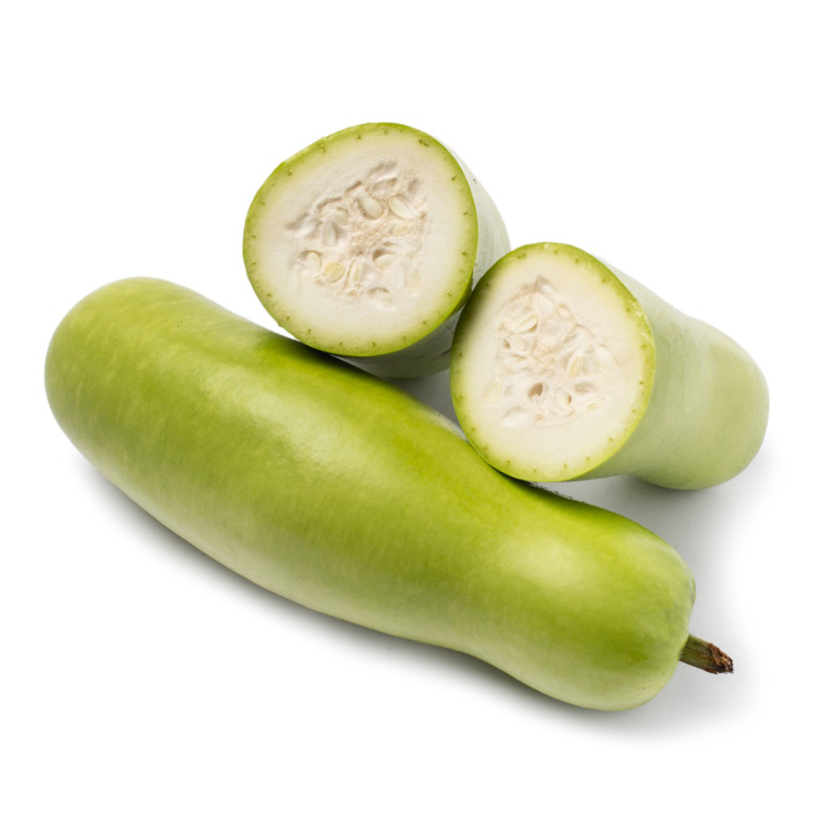 Opo Squash 2.4-2.8 lb