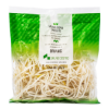 Salad Cosmo Organic Mung Bean Sprouts 255 g
