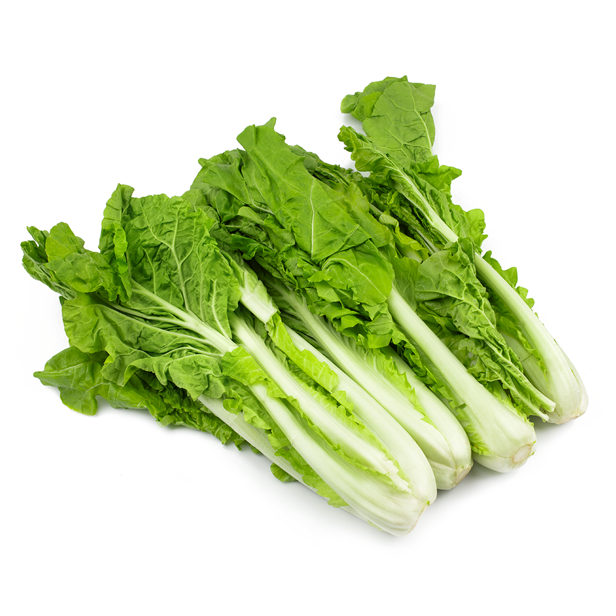 Taiwan Bok Choy 2 lb