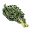 Green Curly Kale 1 bunch