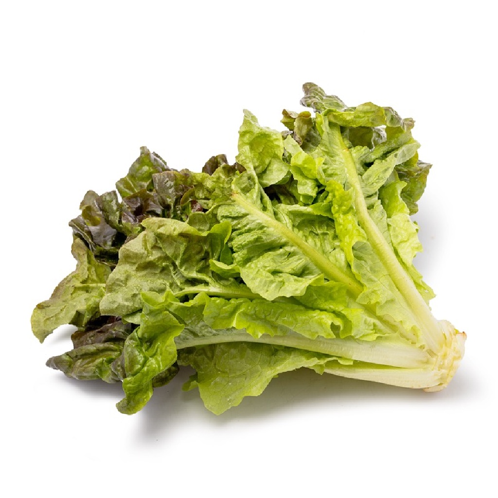 Red Leaf Lettuce 1 count
