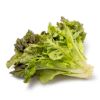 Red Leaf Lettuce 1 count
